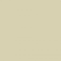 Flat image of Craig & Rose Eau de Nil paint in a soft pale green finish
