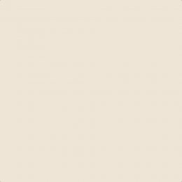 Flat image of Craig & Rose Isabelline paint with a soft creamy finish