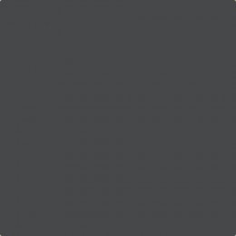 Flat image of Craig & Rose Jet Black paint with a deep, intense finish