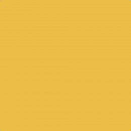 Flat image of Craig & Rose Lamplighter paint with a rich, vibrant finish