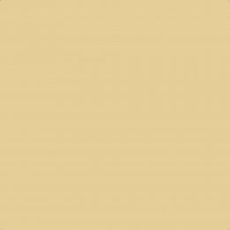 Flat image of Craig & Rose Moorish Yellow paint in a pale golden finish