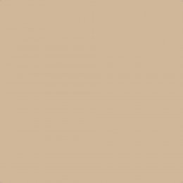 Flat image of Craig & Rose Regency Cream paint with a warm golden cream finish