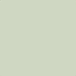 Flat image of Craig & Rose Soft Green paint in a subtle, refined green finish