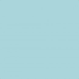 Leyland Trade Delphinium Paint