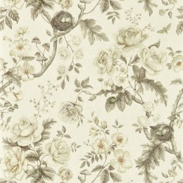 Sanderson Tansy Bloom Oyster Wallpaper