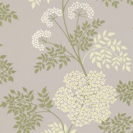 Sanderson Cowparsley Amethyst Wallpaper DOPWCO103