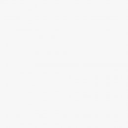 Earthborn Bugle Claypaint