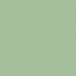 Earthborn Cricket Claypaint