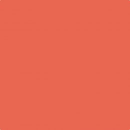 Earthborn Fruit Salad Claypaint