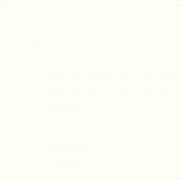 Earthborn Piglet Claypaint