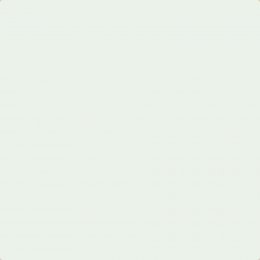 Earthborn Seagull Claypaint