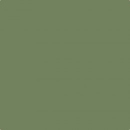 Earthborn Secret Room Claypaint