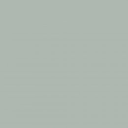 Earthborn Grassy Claypaint