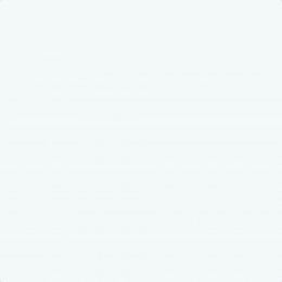 Earthborn Whisker Claypaint