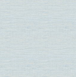 A Street Prints Textures Grasscloth Blue Wallpaper