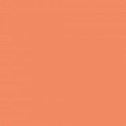 Leyland Trade Flaming Arrow Paint