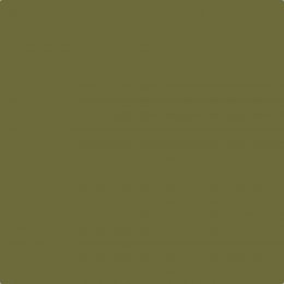 Leyland Trade Forest Creek Paint