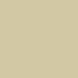 Graham & Brown Artisan Paint