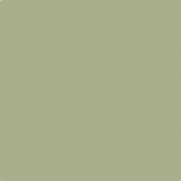 Johnstone's Trade Olive Sprig Paint