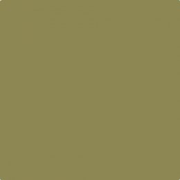 Johnstone's Trade Pond Life Paint