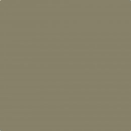 Johnstone's Trade Tortuga Paint