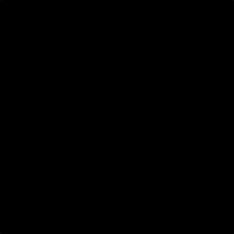 Leyland Trade Black Paint