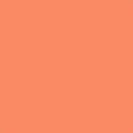 Leyland Trade Carrot Patch Paint