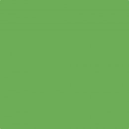 Leyland Trade Grassy Meadow Paint