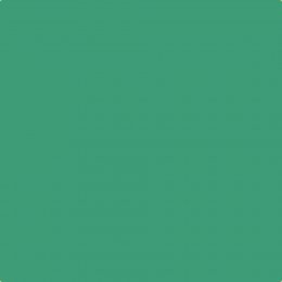 Leyland Trade Ignition Paint