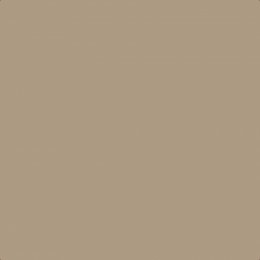 Leyland Trade Kashmir Beige Paint