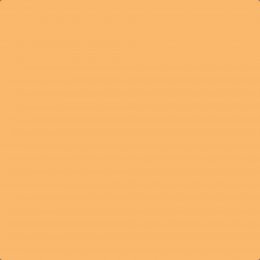 Leyland Trade Peach Paint