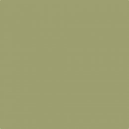 Leyland Trade Pine Trail Paint