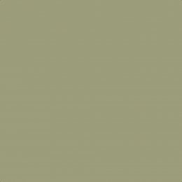 Leyland Trade Sage Green Paint