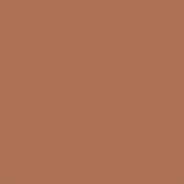 Leyland Trade Sienna Paint