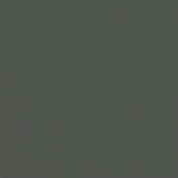 Leyland Trade Trailing Ivy Paint