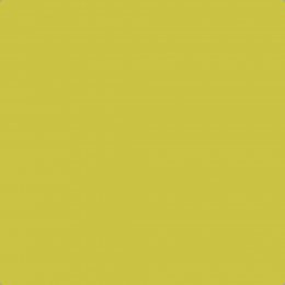 Leyland Trade Lime Green Paint