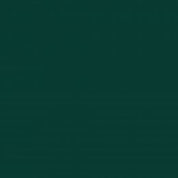 Next Jewel Green Paint