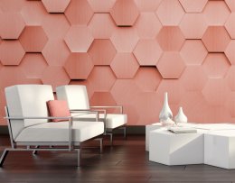 Origin Murals Metal Hexagons Rust Mural Room