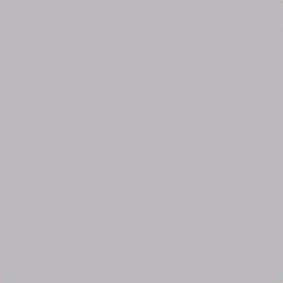 Leyland Trade Silver Spirit Paint