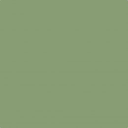 Sanderson Botanical Green Paint