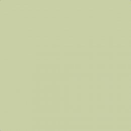 Sanderson English Pear Paint