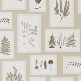 Sanderson Fern Gallery Wallpaper 21514