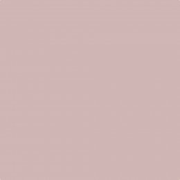 Sanderson Rose Ash Paint