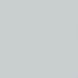 Leyland Trade Whisper Grey Paint