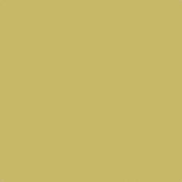 Leyland Trade Wild Lime Paint