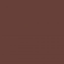 Autumn Ray paint swatch in rich burgundy