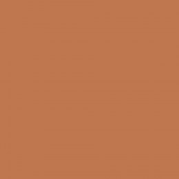 Beech Mast paint swatch in rusty orange