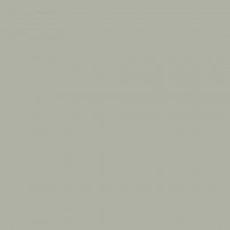 Crumbled Sage paint swatch in classic sage green