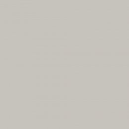 Icelandic Journal paint swatch in creamy beige with grey undertones