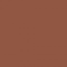 Pressed Brick paint swatch in burgundy undertone brown